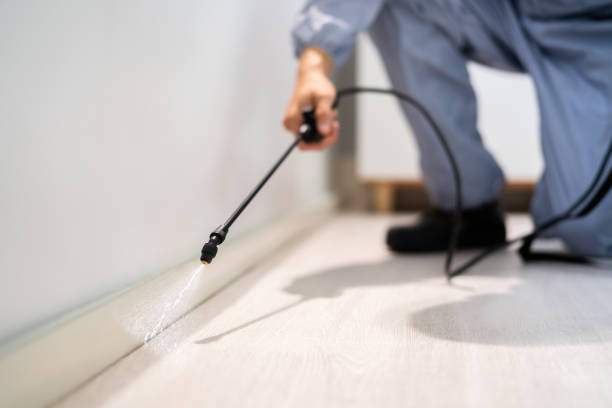 Licensed Termite Control service in Springdale, NC - Nex Pest Control
