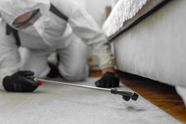 Professional Termite Control technician working in Springdale, NC