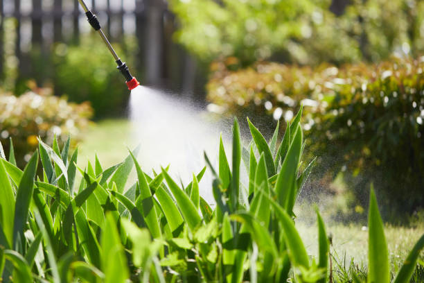 24/7 Emergency Termite Control experts in Springdale, NC