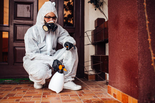 Reliable Termite Control contractor in Springdale, NC by Nex Pest Control